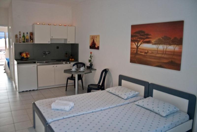 Galini Sea View Apartments Chalkidiki Неа-Скіоні Номер фото